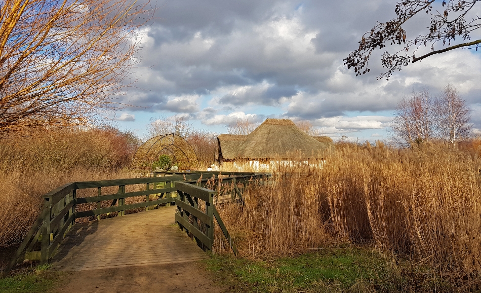 Image 7 from WWT London Wetland Centre