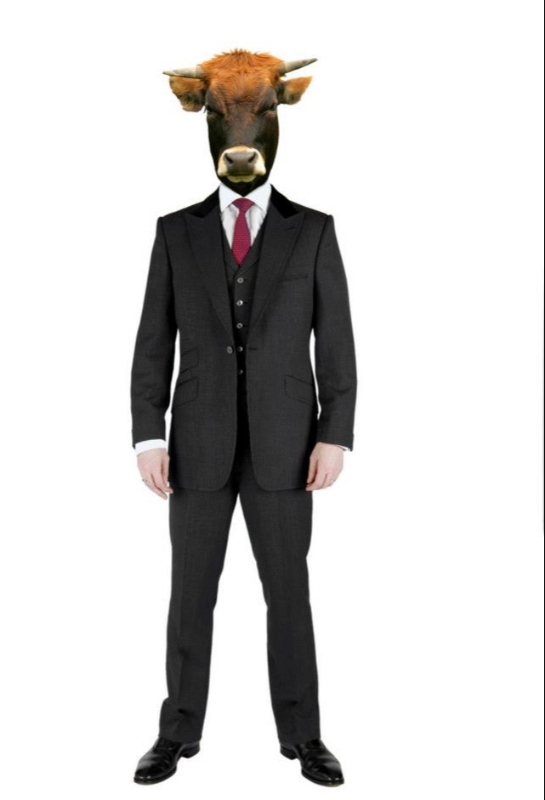 Gallery image 2: chris-kerr