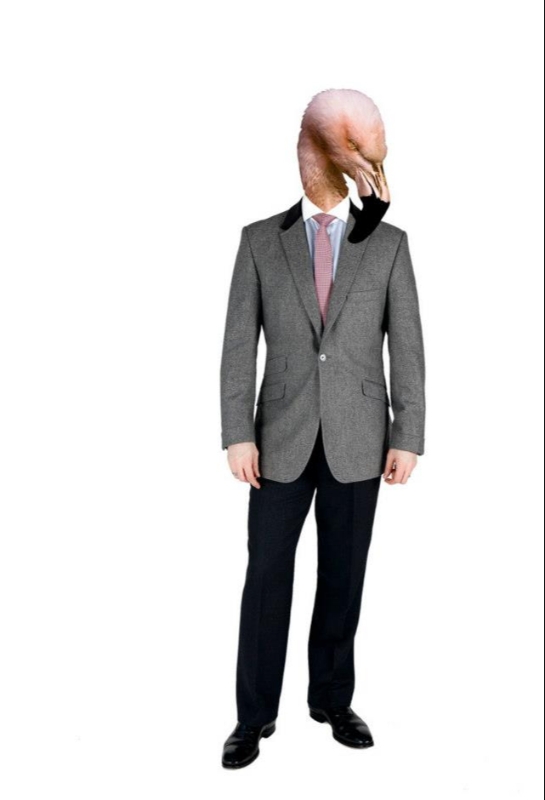 Gallery image 5: chris-kerr