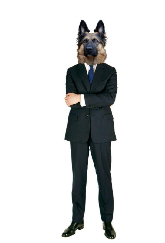 Gallery image 6: chris-kerr