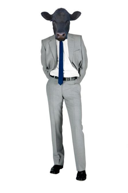 Gallery image 7: chris-kerr