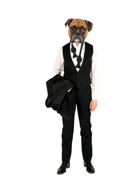 Gallery image 8: chris-kerr