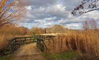 Thumbnail image 7 from WWT London Wetland Centre