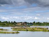 Thumbnail image 15 from WWT London Wetland Centre