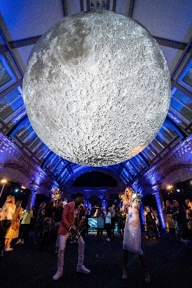 Marry under the moon at The Natural History Museum: Image 1