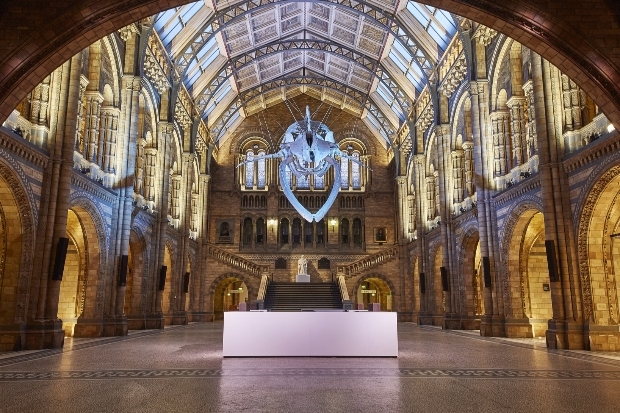 Match made in heaven: Luna Cinema comes to the Natural History Museum for Valentine's: Image 1
