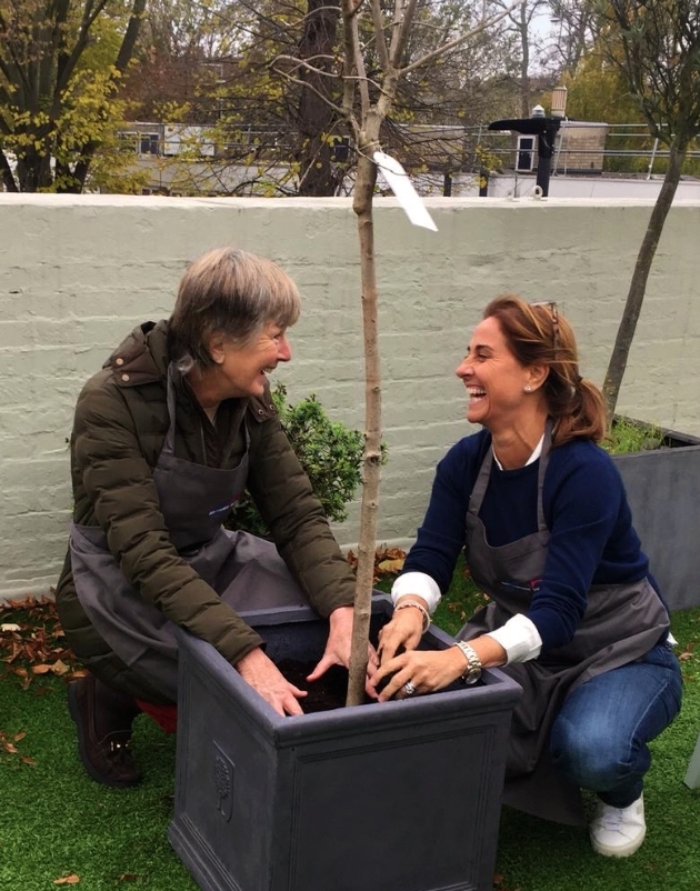 Tree of life: London caterer Blue Strawberry unveils eco-initiative: Image 1