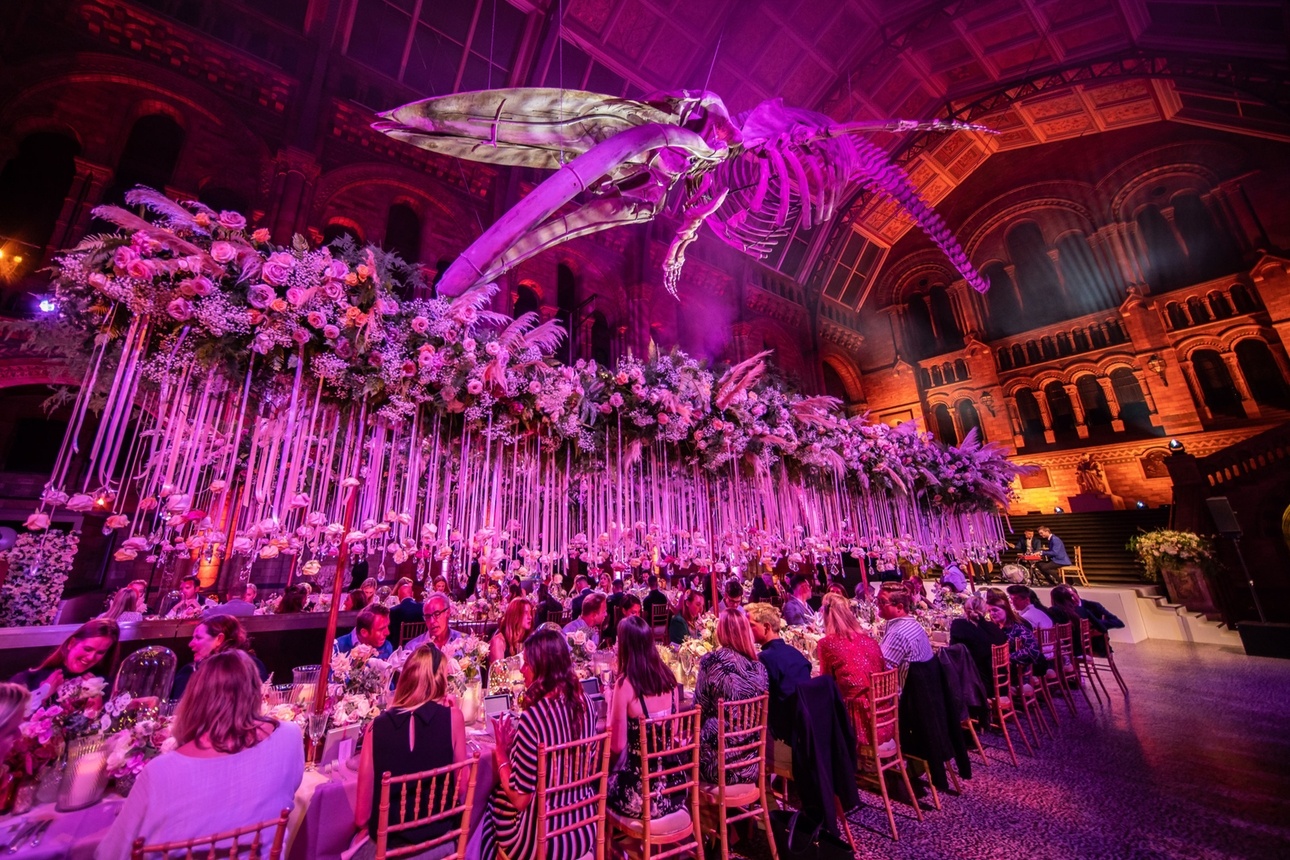 Virtual wedding tours now available at the Natural History Museum, London: Image 1