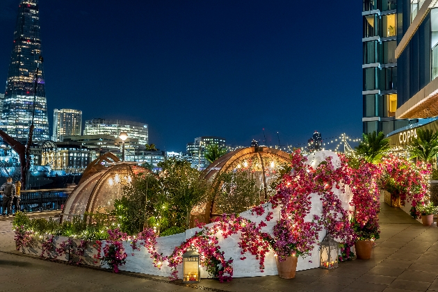 pods behind a white stone wall covered in flowers at night with fairylights with london skyline in background