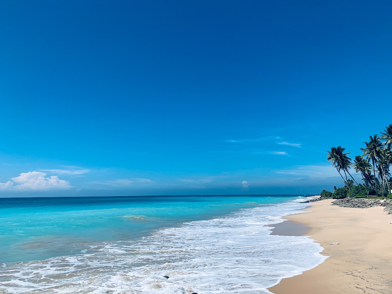 tropical beach blue sky white sand palm tress in view