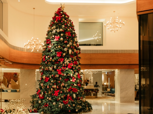 Christmas tree with white background